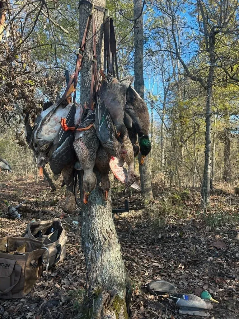 Best Time For Duck Hunting In Arkansas